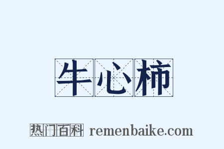 牛心柿是什么意思的图片